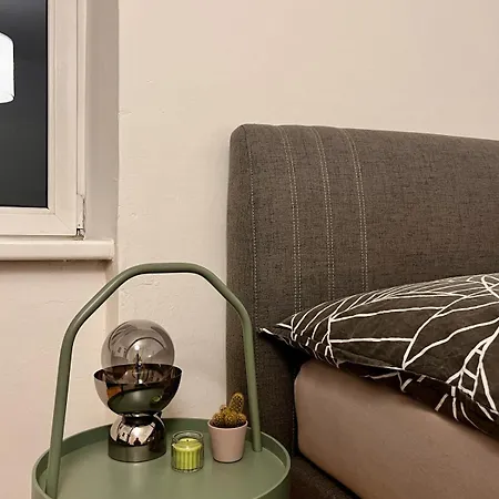 Comfy In Center * 잘츠부르크