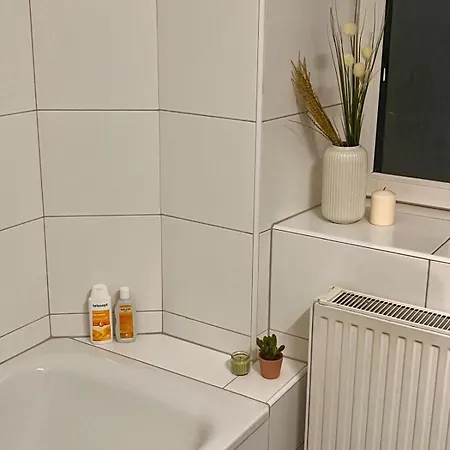 Проживание в семье Comfy In Center