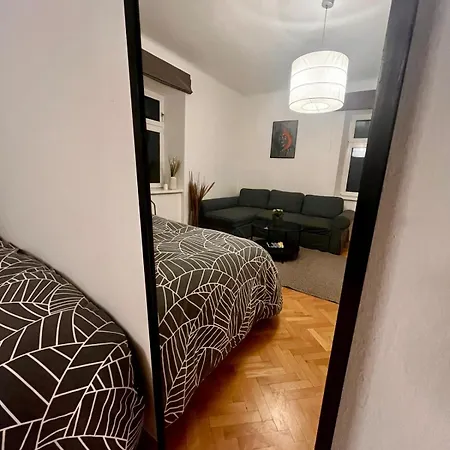 Comfy In Center Solnohrad