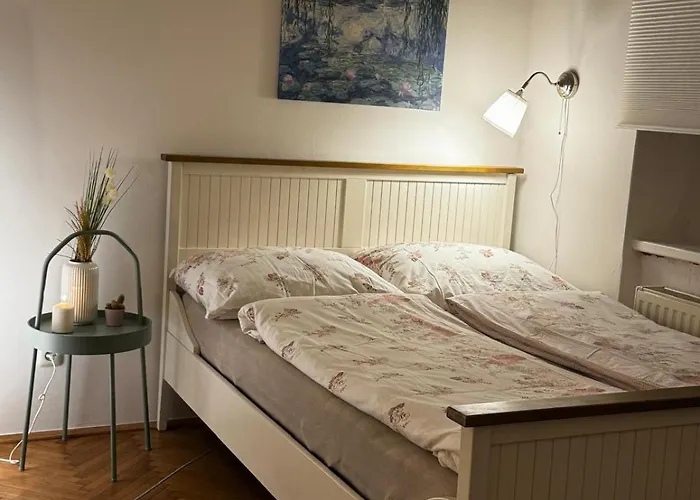 Проживание в семье Comfy In Center