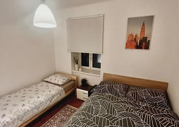 Проживание в семье Comfy In Center